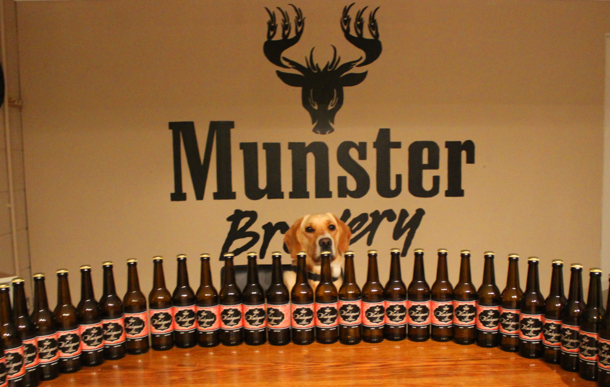 munster-brewery-beer-medium